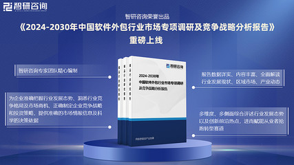 中國軟件外包行業(yè)投資前景分析與未來發(fā)展趨勢研究報(bào)告
